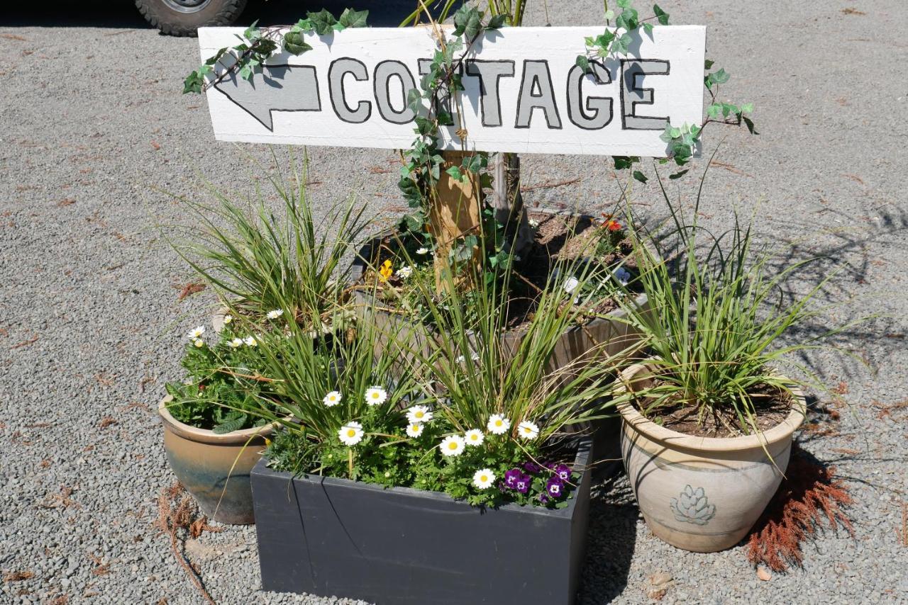 Havelock Cottage On St Georges Havelock North Ngoại thất bức ảnh
